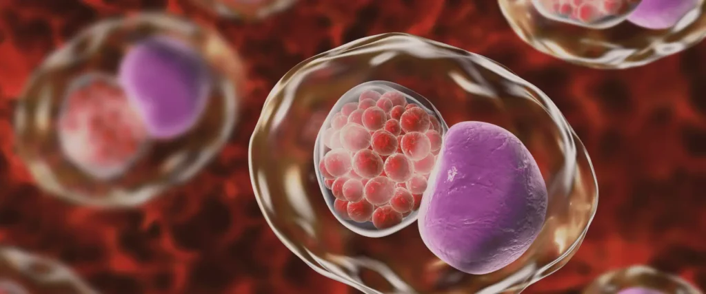 Les Maladies Sexuellement Transmissibles en Gynécologie : Prévention, Dépistage et Prise en Charge